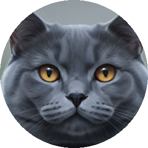 CanlıDostum kedi avatarı