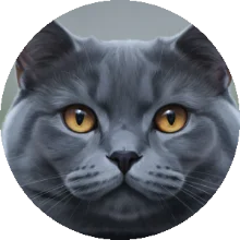 CanlıDostum kedi avatarı