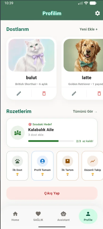 Kazanılan rozetler