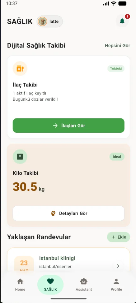 Sağlık ekranı