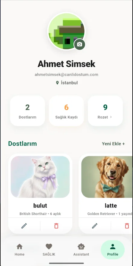 Profil — dostlarım ve rozetler